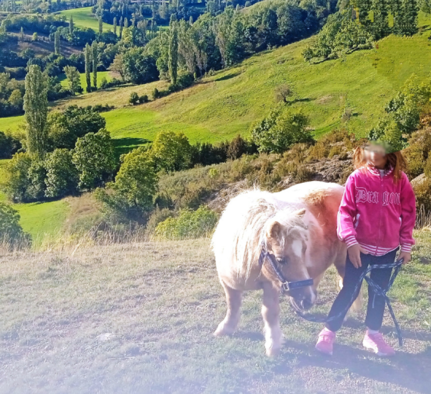 bienestar con caballos mireia cabrera entre susurros