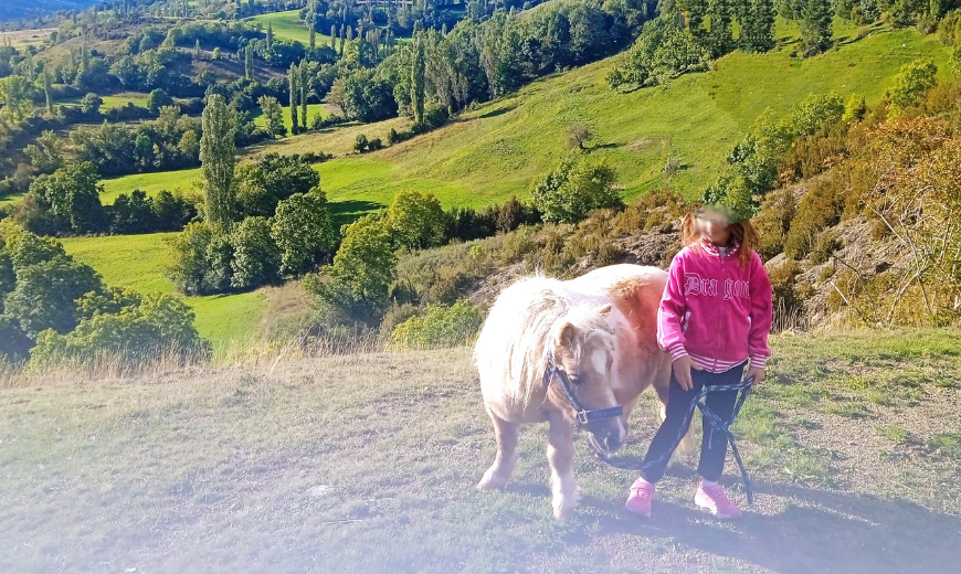 bienestar con caballos mireia cabrera entre susurros