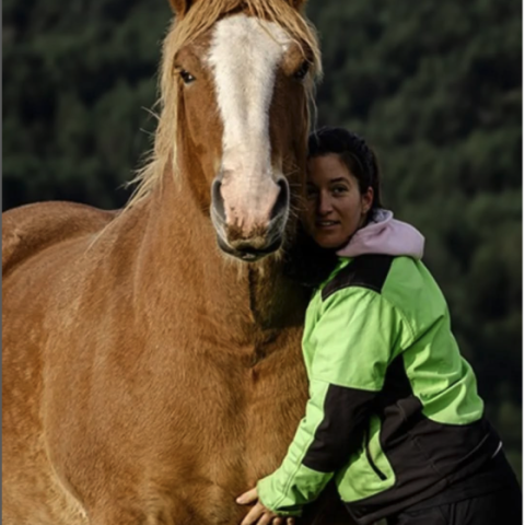 Featured author image: Equino experience