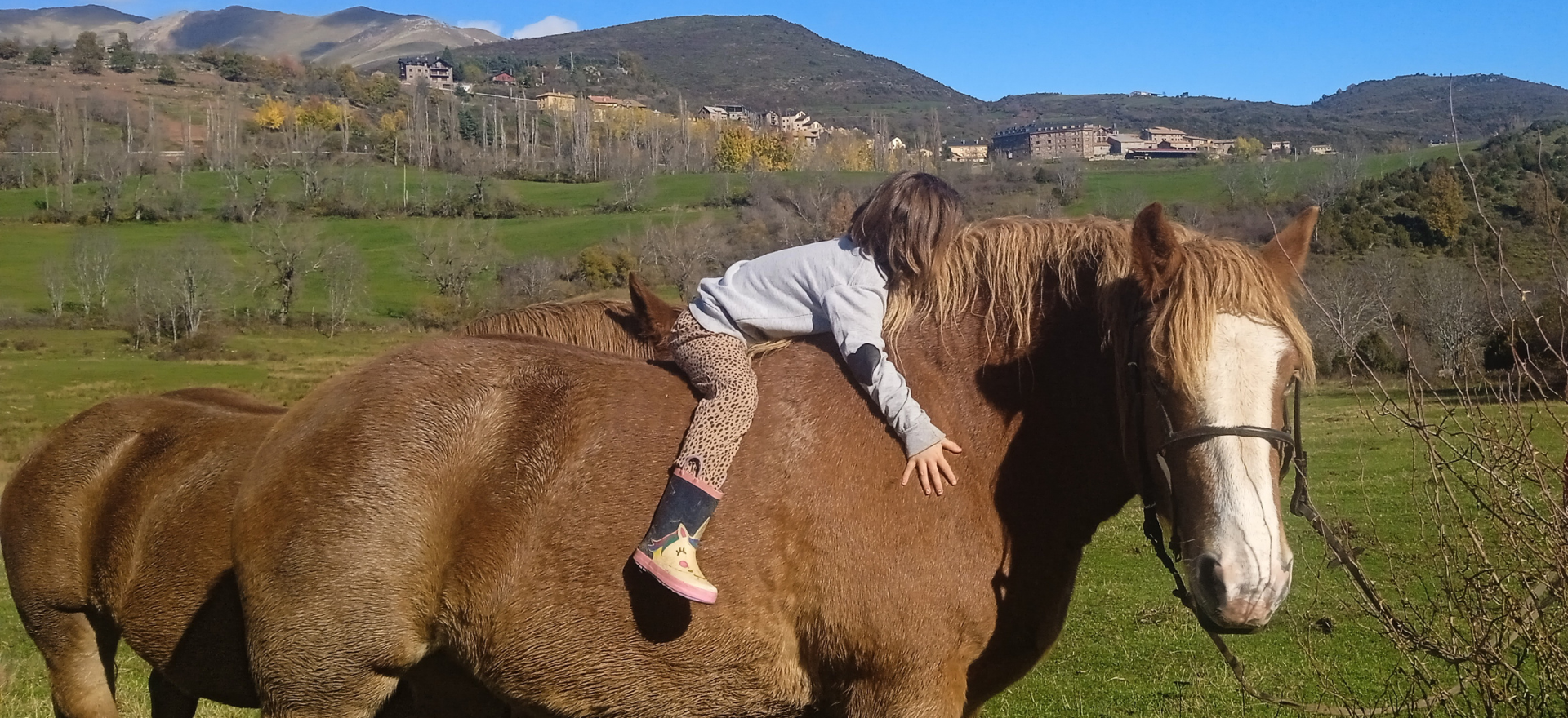 Entresusurros Mireia Cabrera Laspaúles