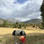 A veces, detrás de un «no me pasa nada»… hay mucho que necesita ser escuchado.
